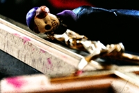 El beso rastrero mini