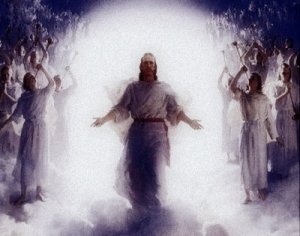 El paraíso efecto invernadero