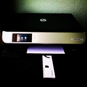 17708_10206714868691383_2414014241021906359_n