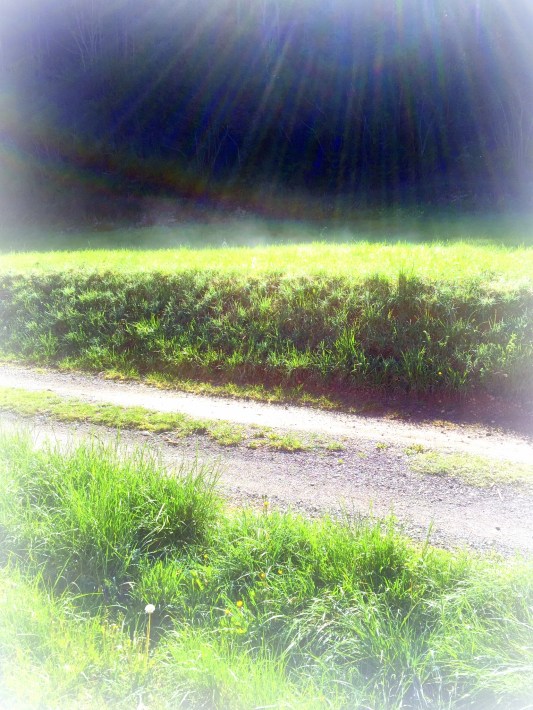 Grandes bellezas pequeños dramas 1