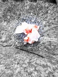 Niños malos tintas indecentes