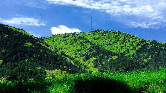 11154797_10206785842105674_2521780553219320747_o