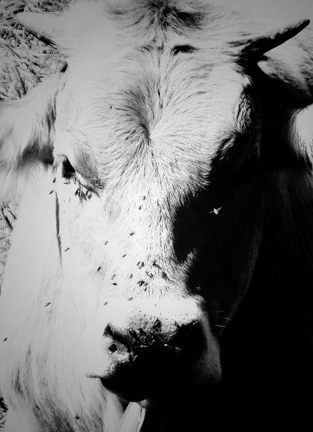 Frustrivas lágrimas