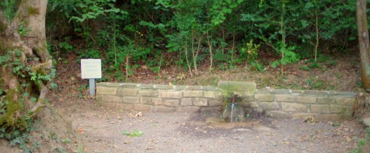 Fuente sin garantía sanitaria