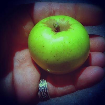 11703585_10207550716507056_6752695603162971616_o