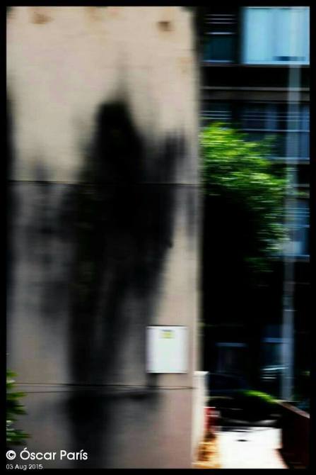 11821487_1584773445123043_871333613_o