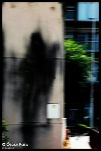 11821487_1584773445123043_871333613_o