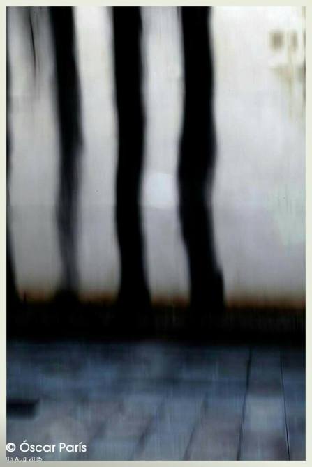 11832027_1584773451789709_1263182955_o