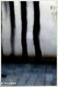 11832027_1584773451789709_1263182955_o