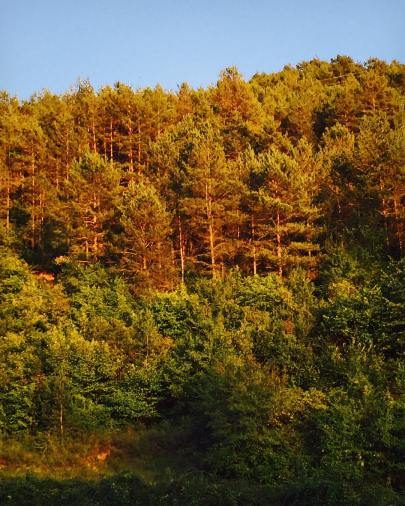 11882804_10207769636579921_1012595371297004769_o