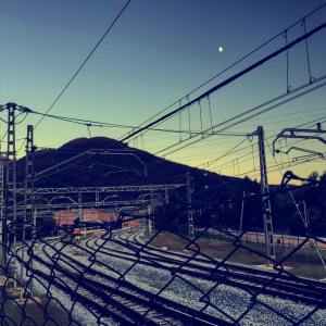 11883859_10207741933007349_3229016098070353333_o