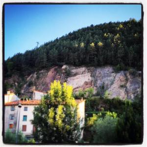 11891443_10207740946742693_8356852341153877163_o