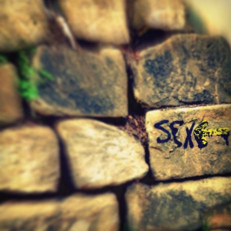 11893852_10207712536472454_7699869751887751911_o