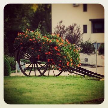 11896423_10207769819904504_6087925357914637014_o