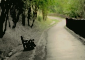 Banco mirando al oeste