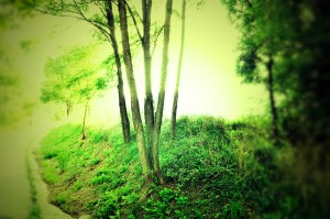 La definitiva luz_01