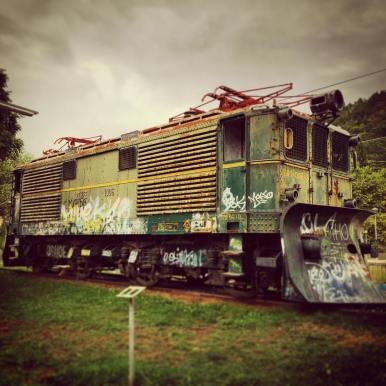 11958093_10207810338957455_4809352472879438853_o