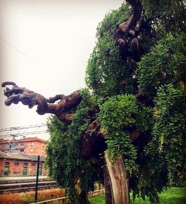 12068738_10208001927787056_1698703163827577664_o