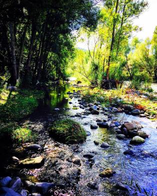 12132532_10208054453500166_2281652867514966936_o