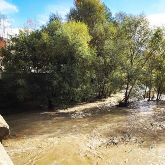 12186382_10208191247839939_1804900249384048553_o