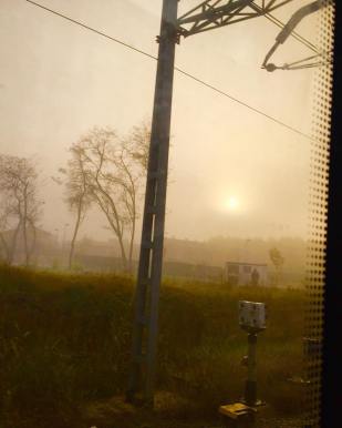 12186644_10208209999108709_7760825307353349345_o