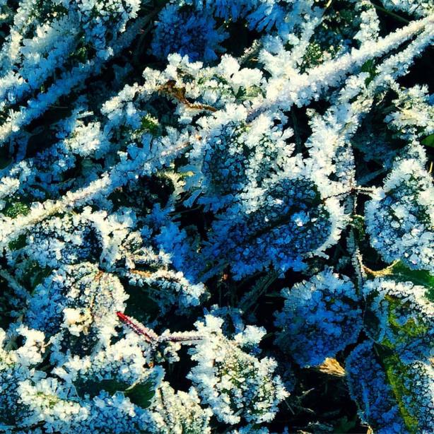 12239272_10208311508286375_3559134277040305268_o