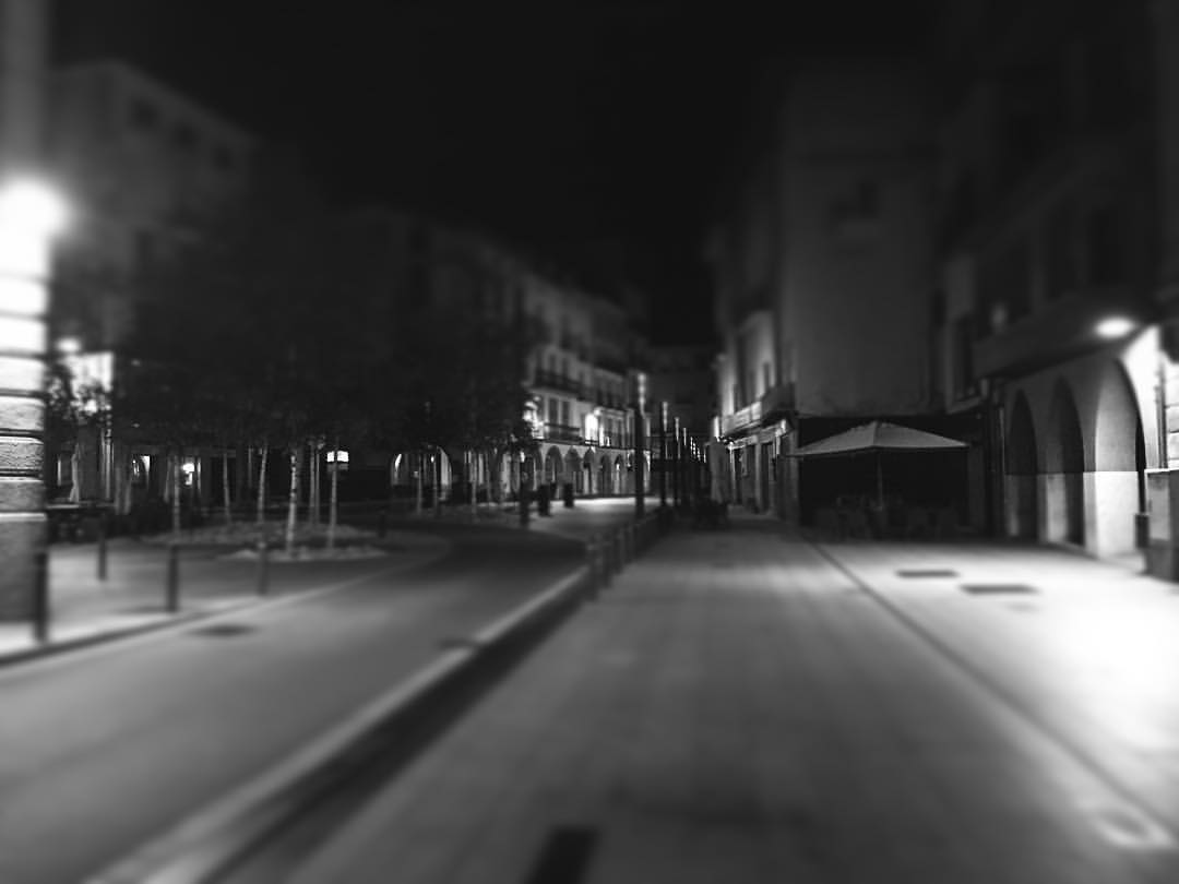 12370861_10208421657880046_5576111533301793093_o