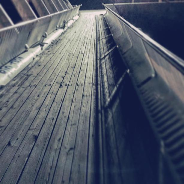 1417628_10208537510056278_7920837955865352373_o