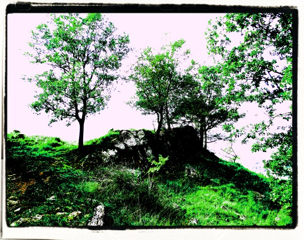 SAMSUNG CAMERA PICTURES