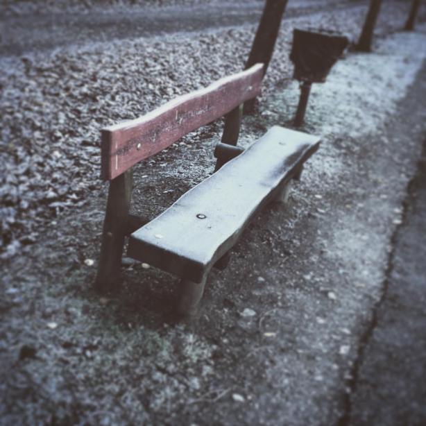 12401803_10208602025909134_3132538143898330648_o