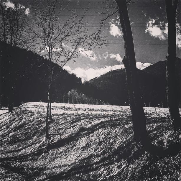 12487146_10208672793958291_651884699961377195_o