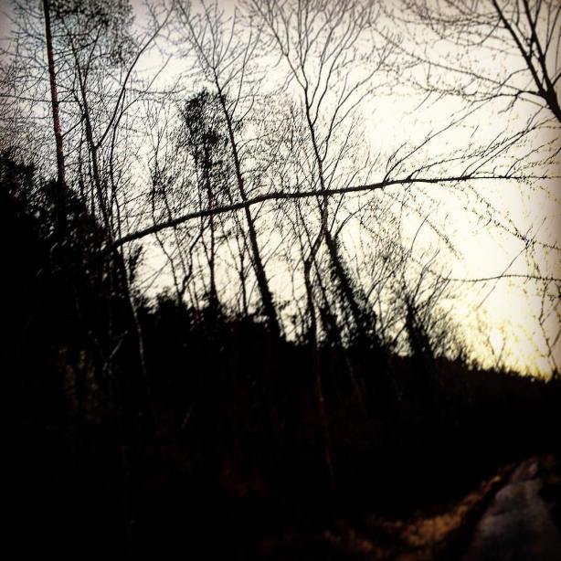 12487167_10208686160172438_4992272743589146305_o