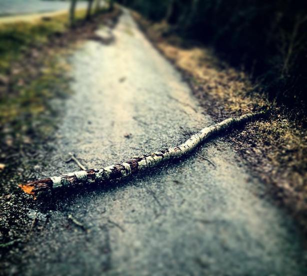 12489358_10208680073060264_1315277234641824538_o