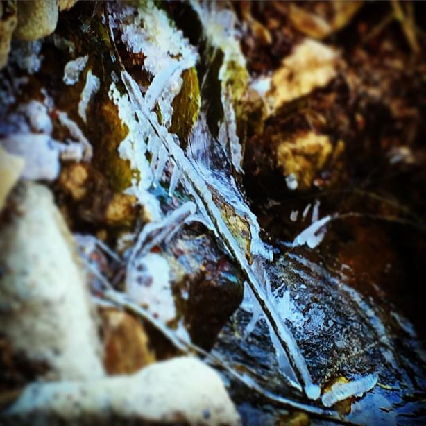 12493553_10208700268805145_2485489767329529442_o