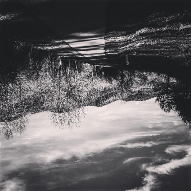 12525337_10208666703246027_1080970324800301415_o