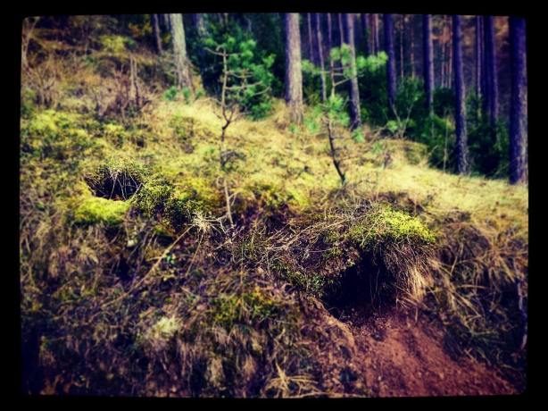 12605447_10208733114146258_1121408858294357533_o