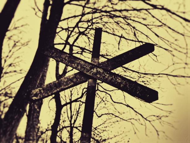 12646662_10208754131591681_6621268139660959176_o