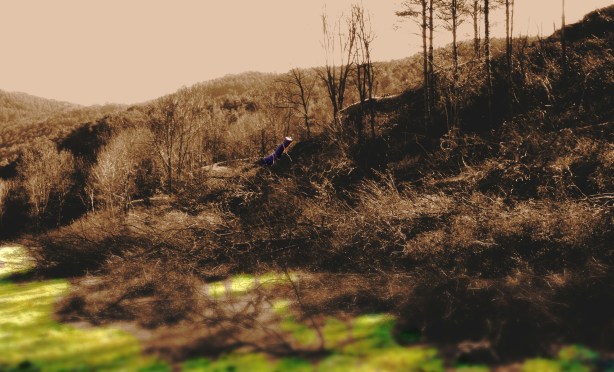 SAMSUNG CAMERA PICTURES