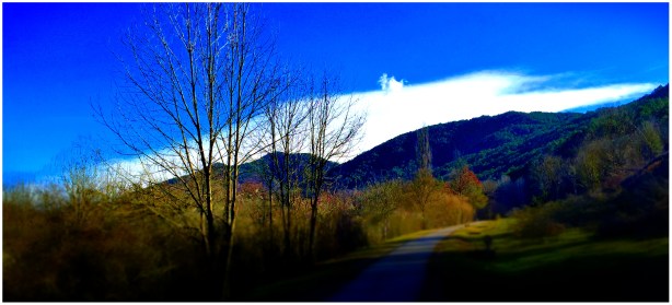 Morir ante el horizonte