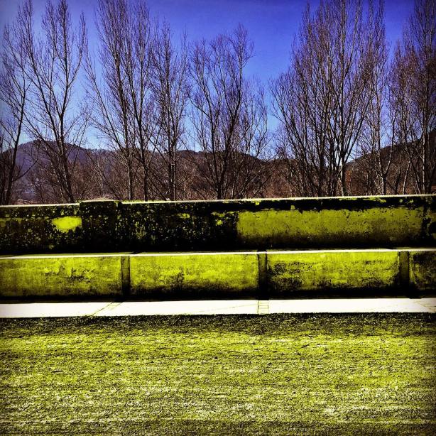 12646888_10208805038664326_1139419726554416736_o