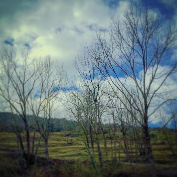 12657311_10208864479870319_5380536075930698349_o