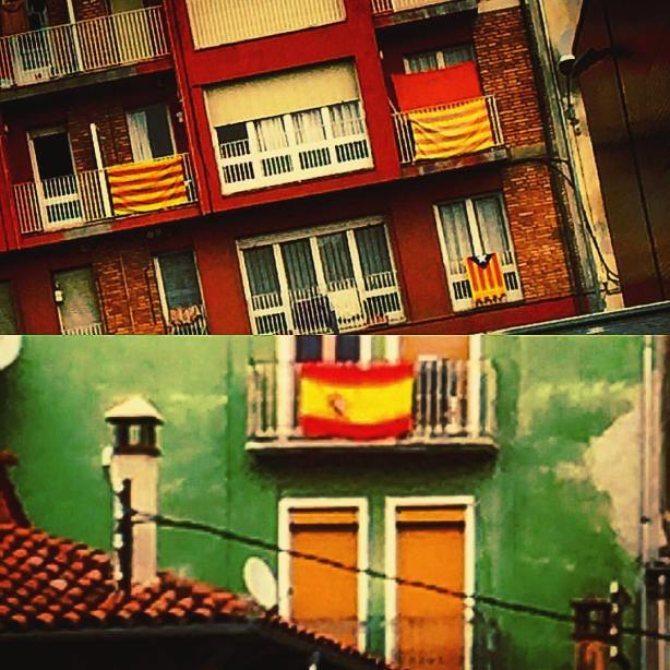 12711142_10208878165612454_195935411539882734_o