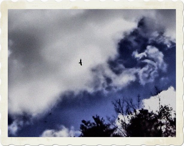 12733993_10208884589533048_1162327382052313862_n