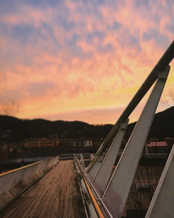 12768238_10208943238479235_7531986214723083724_o