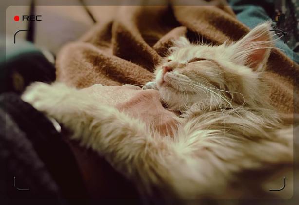 12771748_10208988416568659_5167138119840724610_o