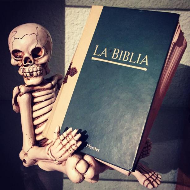 10623813_10209183468444834_1833027622262041077_o