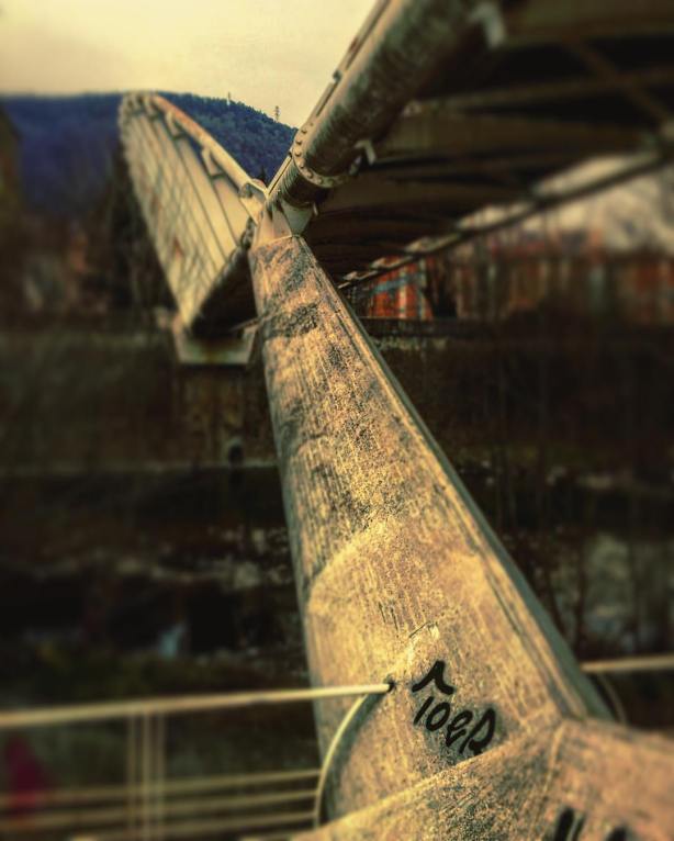 12885824_10209254128291286_778538111420352580_o