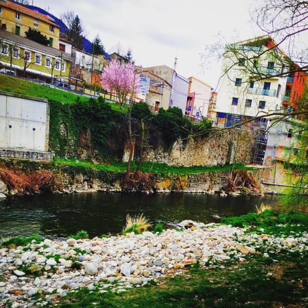 12898226_10209304220263554_3804634300199457813_o