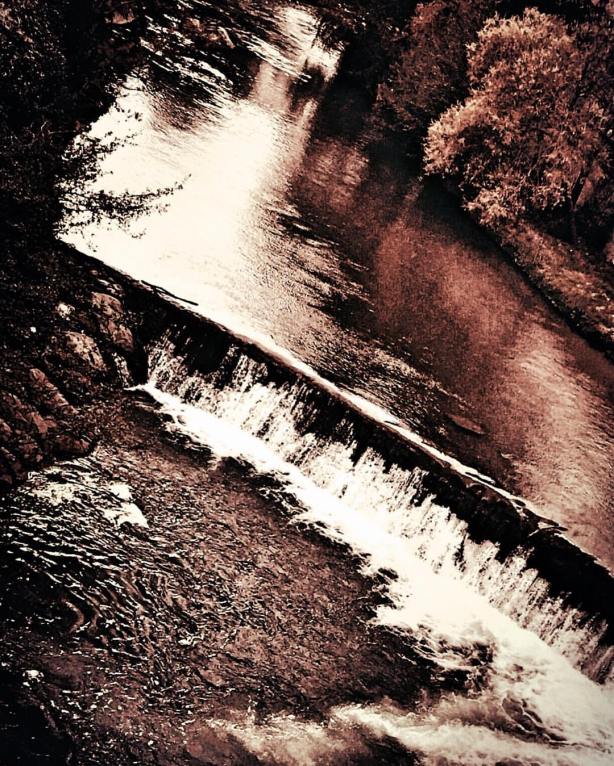 13002463_10209506622803491_8868846400509557181_o