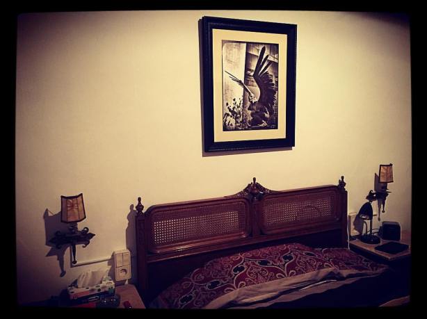 13041492_10209482895810331_651323079698095706_o